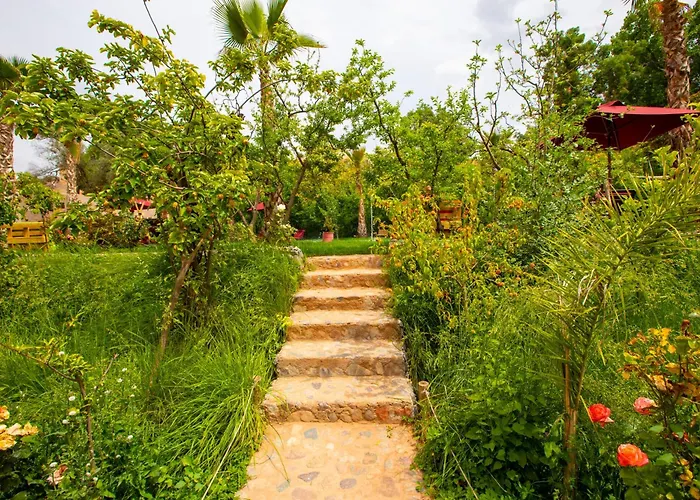 The Garden Of Asni